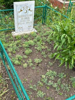 Гиниатуллин Джамиль Наильевич