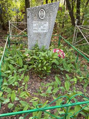 Мирсаетов Дамир Саматович