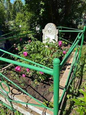 Миннеярова Амина Хазигалиевна