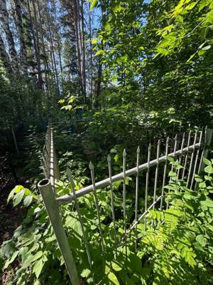 Валиев Сафуан Закуанович