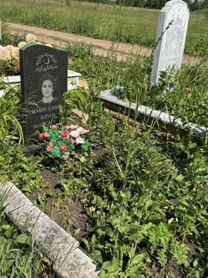 Набиуллина Илюса Шамсигалиевна