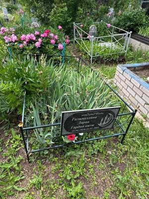 Галимуллина Дария Гардиевна