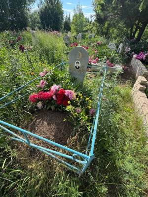 Гарипов Ильгиз Газиззянович