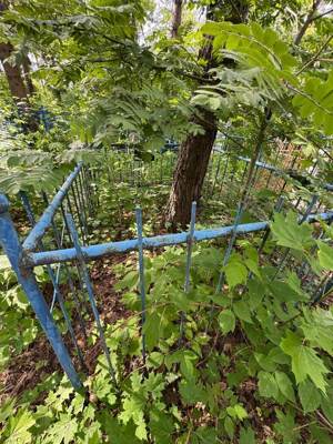 Мирсаетова Галима Сабирзяновна
