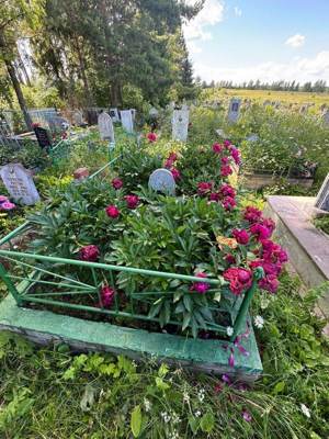 Гарипов Зиннатулла Гумарович