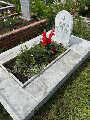 Газизуллина Аниса Мирсаетовна