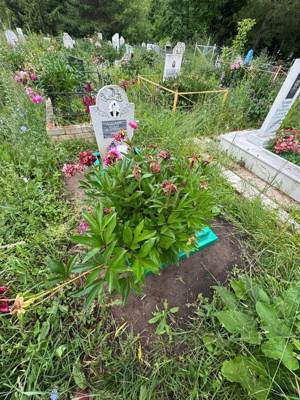 Абдуллин Ильдар Сибгатуллович
