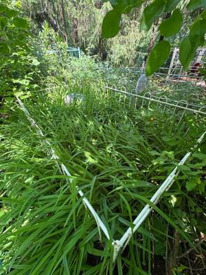 Закирова Расиха Лутфрахмановна